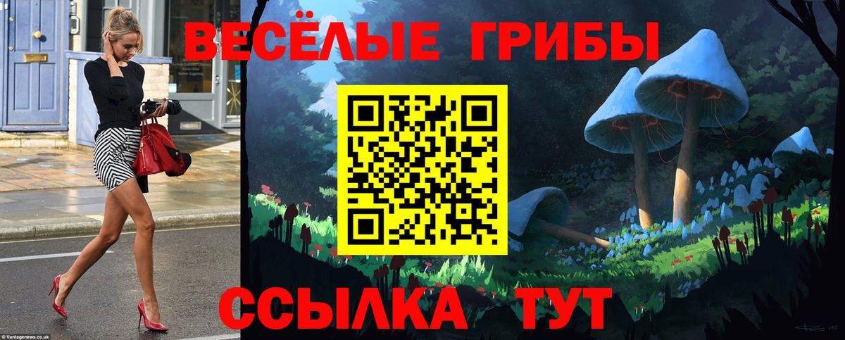 Красноармейск  Псилоцибиновые грибы Magic Shrooms  цена   Вход с VPN 